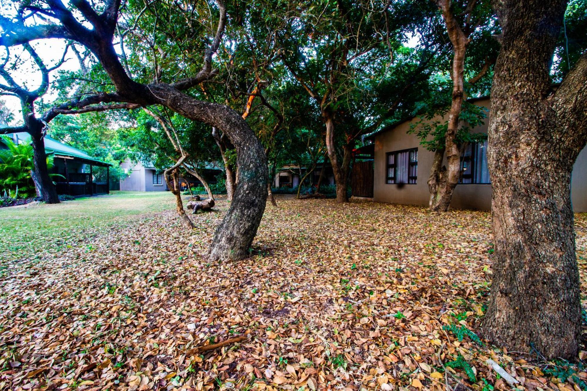 Emdoneni Lodge With Zululand Cat Conservation Project Hluhluwe Exterior photo