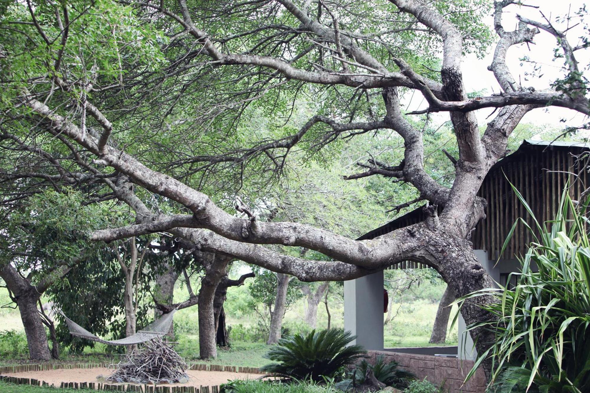 Emdoneni Lodge With Zululand Cat Conservation Project Hluhluwe Exterior photo